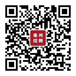 亳州市最新招聘動(dòng)態(tài)與人才市場(chǎng)分析概覽