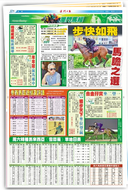 新澳門今晚開特馬開獎2024年11月｜準確資料解釋落實